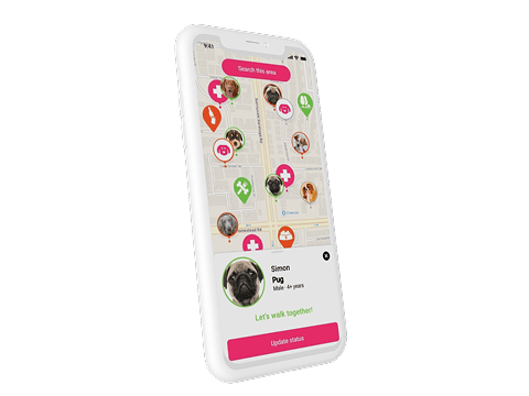 Petsensus, software development project